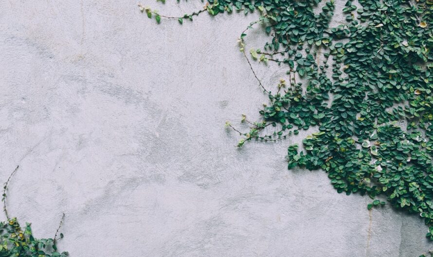 Dosage joint ciment sable : Guide pratique pour débutants