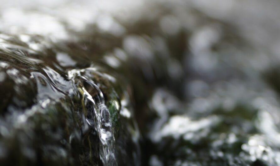 Peindre avec du plomb : dangers et alternatives en 2025