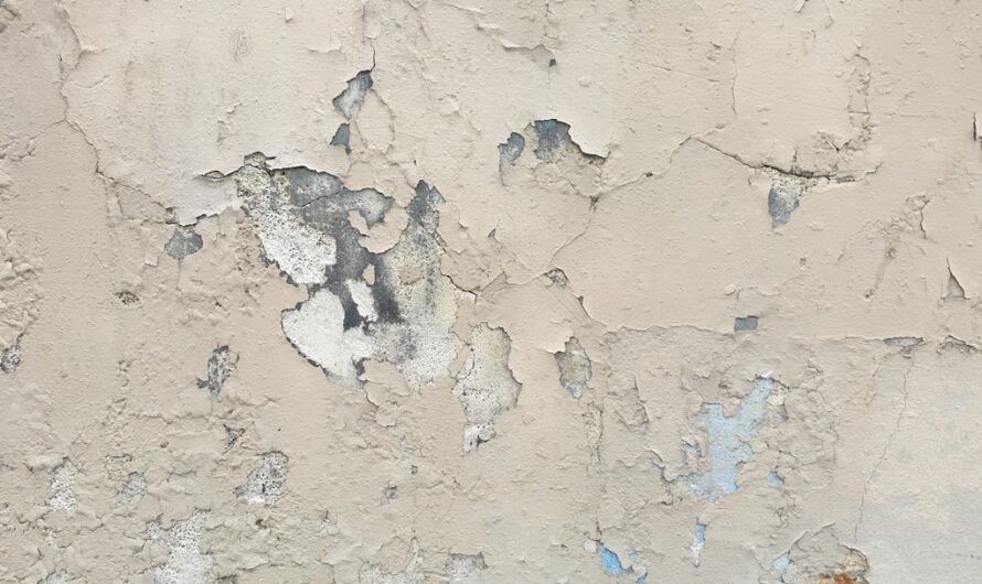 Comment reconnaître la peinture au plomb dans votre maison ?