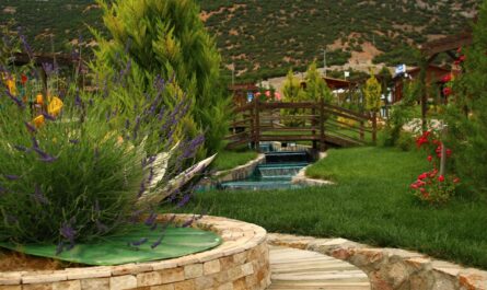 découvrez nos idées et conseils pour l'aménagement paysager autour de votre piscine. créez un espace extérieur élégant, sécurisé et convivial grâce à des astuces de décoration, de plantations et d'éclairage adaptées à tous les styles de piscines.