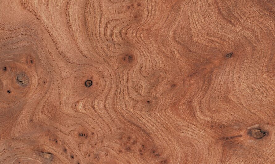 Bois de rose meuble : tout savoir sur ce bois exotique pour optimiser votre décoration