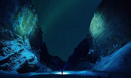 découvrez une large sélection de wallpapers uniques et tendances pour personnaliser votre écran d’ordinateur ou de smartphone. téléchargez gratuitement des fonds d’écran haute résolution adaptés à tous les styles et envies.