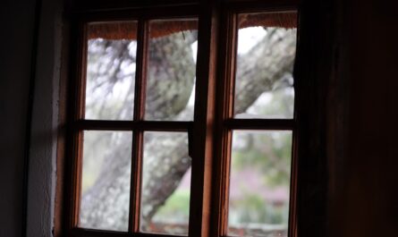 découvrez tout ce qu’il faut savoir sur les cadres de fenêtre : matériaux, types, conseils d’entretien et astuces pour bien choisir la menuiserie adaptée à votre intérieur.