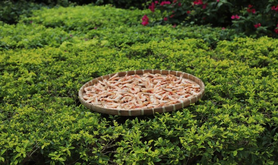 Quel matériau choisir pour sa table de jardin en 2025 ?