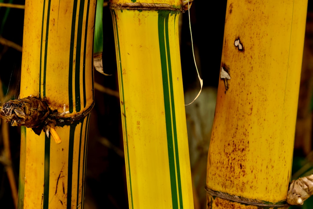 découvrez nos conseils pratiques pour retirer un volet roulant facilement et en toute sécurité. suivez les étapes détaillées pour réussir le démontage de votre rideau métallique ou volet motorisé.