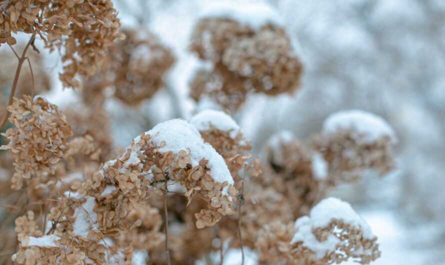 Déco salon taupe : idées pour un intérieur élégant et chaleureux