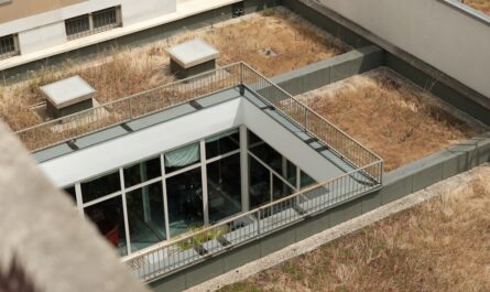transformez votre espace extérieur avec notre service de rénovation de terrasse : conseils, idées et solutions sur mesure pour moderniser et embellir votre terrasse.