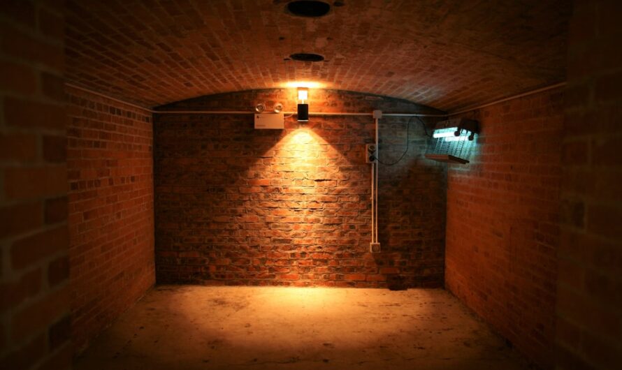 Comment transformer une cave en espace de vie pratique et esthétique ?