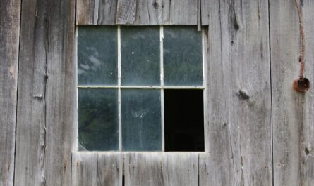 découvrez bullseye window, la solution idéale pour des fenêtres élégantes et performantes qui illuminent votre intérieur tout en assurant isolation et sécurité.