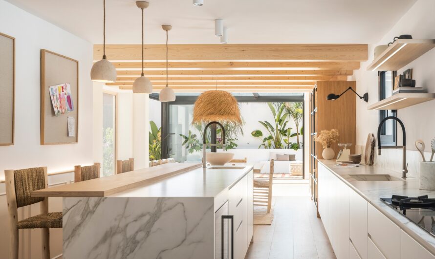 Olivier déco : idées et conseils pour une décoration méditerranéenne tendance en 2025