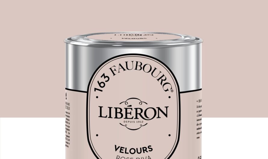 Peinture haute température pour plaque de cuisson : guide d’utilisation et astuces en 2025