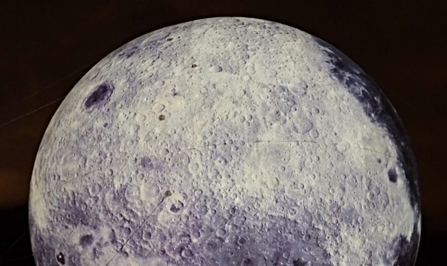 Comment appliquer du papier peint facilement chez soi ?