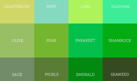 découvrez les nuances du vert sage en 2025 et nos conseils pour l'intégrer harmonieusement dans votre décoration et votre style.