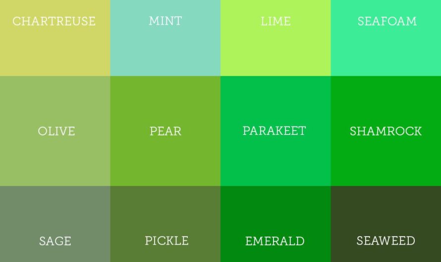 Vert sage 5 : nuances, conseils et inspirations pour adopter cette couleur tendance en 2025