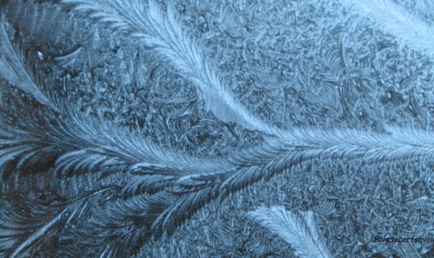 Comment givrer une vitre facilement : guide et astuces pour un résultat professionnel