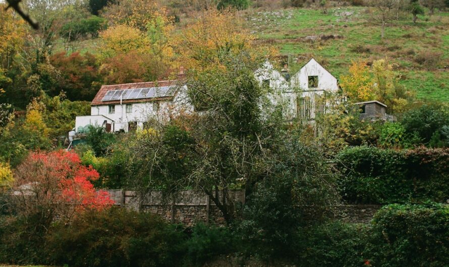Panneau solaire au jardin : abri, cabanon, serre, pompe de bassin et éclairage
