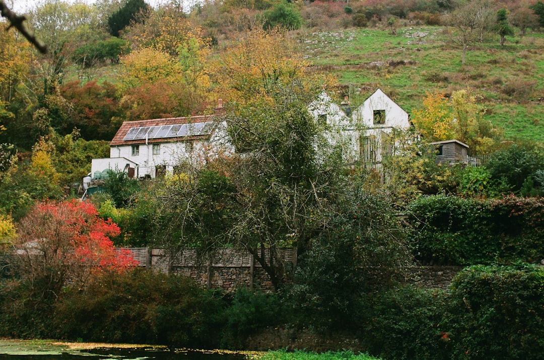 Panneau solaire au jardin : abri, cabanon, serre, pompe de bassin et éclairage